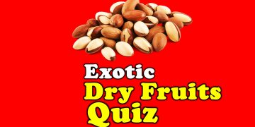 Food Quiz: Dry Fruits Quiz IForHer