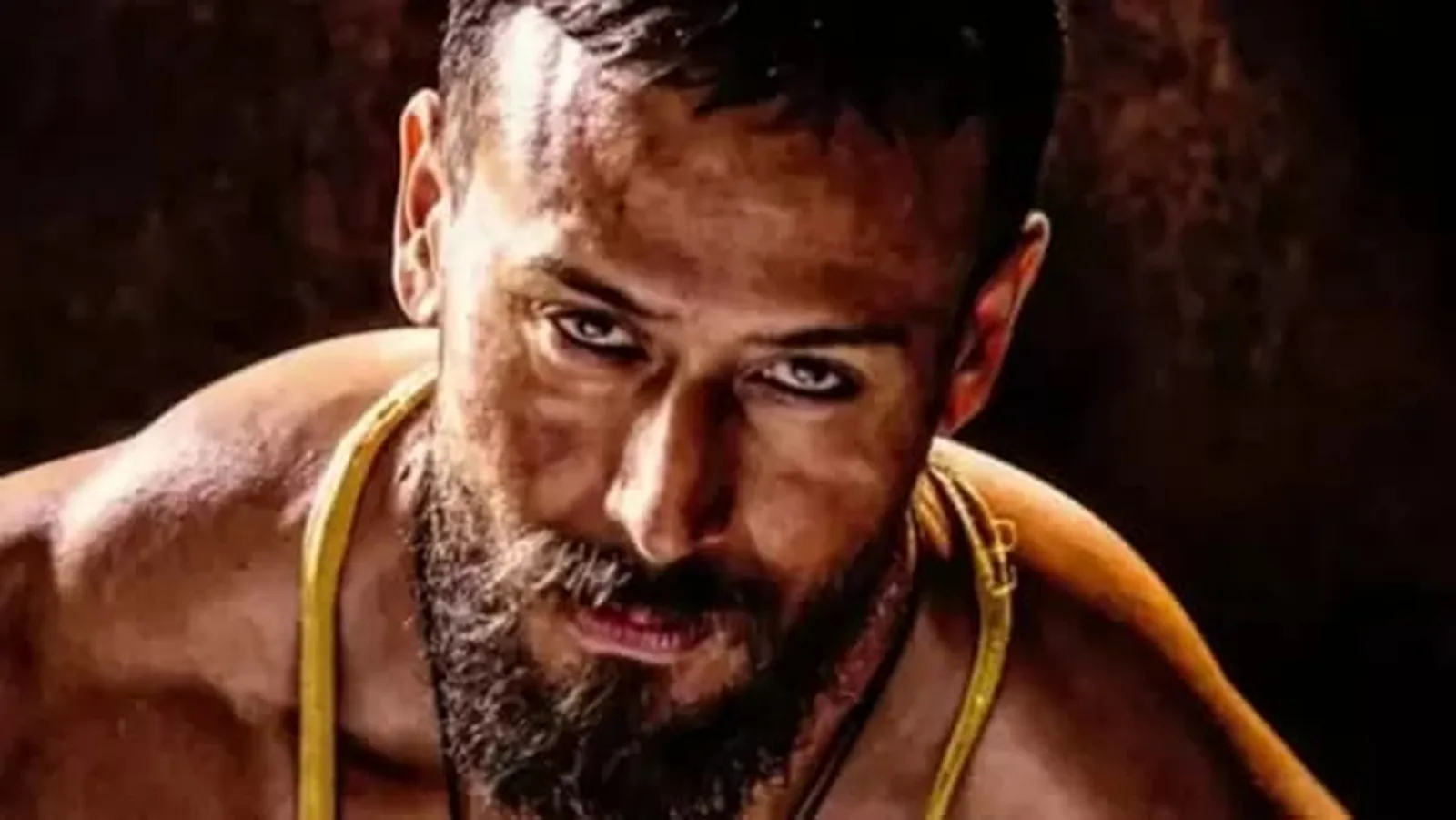 Baaghi OTT Release Date When Where To Watch - Copy