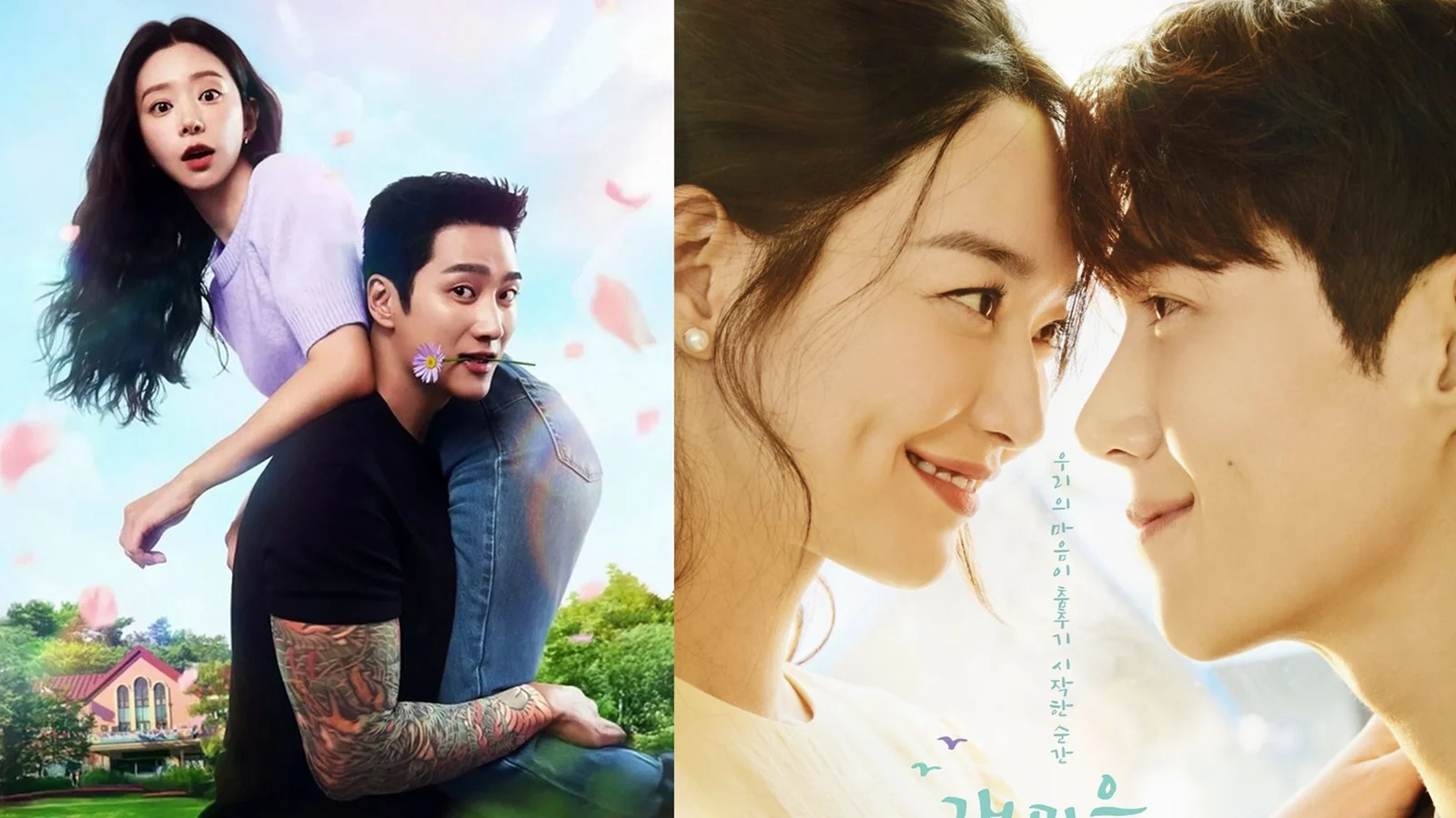 Shows like Spring Fever