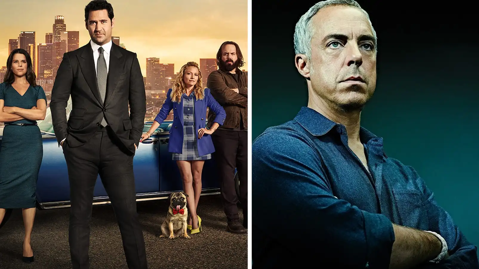 Shows like Lincoln Lawyer (1)