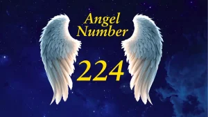 Angel Number 224 Spiritual Meaning in Life & Love