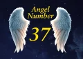 Angel Number 37 Meaning