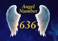 Angel Number 636 Meaning