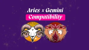 Aries and Gemini Compatibility Love Relationship Marriage