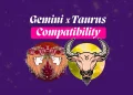 Gemini Taurus Compatibility Love Relationship Marriage