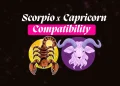 Scorpio and Capricorn Compatibility.webp