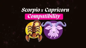 Scorpio and Capricorn Compatibility