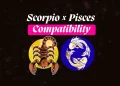 Scorpio and Capricorn Compatibility.webp