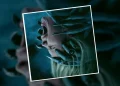 Movies Like Insidious: Out of the Further