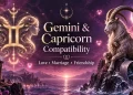 Gemini-Capricorn.webp