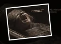 Movies like the mummy