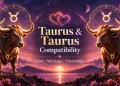 Taurus-and-Taurus-Compatibility.webp
