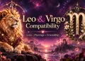 Leo-and-Virgo-compatibility.webp